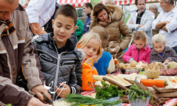 Harderwijk KOOKT