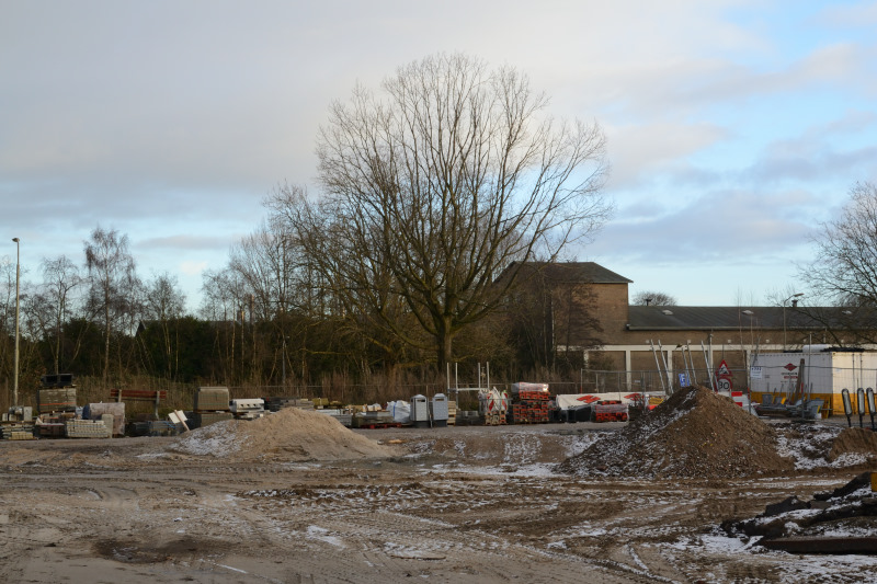 Weiburg - belangrijke bomen op het voormalige struikterrein